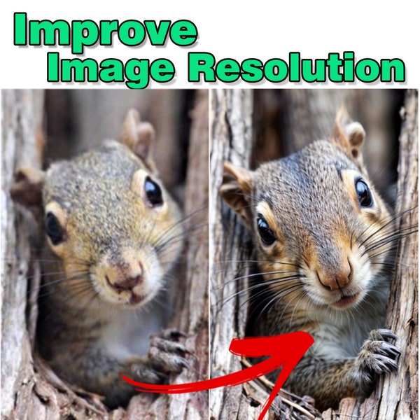 Image Enhancement/High-Resolution Conversion/Blurry Photo Repair/Pixelated Image Fix/Low-Quality to High-Quality/Digital Photo Restoration