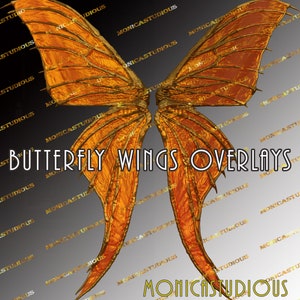 Superpositions de photo / superposition d’ailes de papillon de couleur jaune 3 / 3 ailes de fée/Fine Art, haute résolution, superposition de Photo, PNG Clipart, ailes numériques