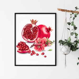 Rote Granatäpfel Wandkunst, Aquarell Granatapfel, PNG, gemalte rote Granatäpfel, Granatapfel Obst, Clipart / Digitaldruck / Ai / EPS