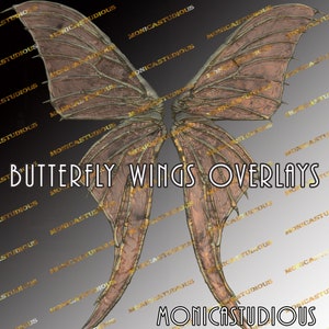 Superpositions de photo / superposition d’ailes de papillon de couleur jaune clair 3/ailes de fée/Fine Art, haute résolution, superposition de Photo, PNG Clipart, ailes numériques