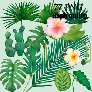 Watercolor Tropical Leaf Clipart: 77 PNG Jungle Plant Graphics (Instant Download)