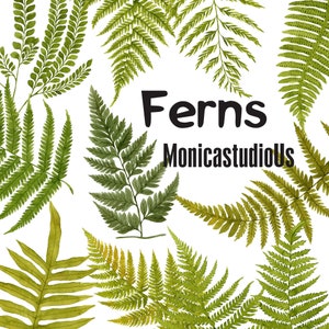 Fougères Clipart | Clipart de verdure de forêt - Branches de feuilles de verdure et tiges - Invitation de mariage Clip Art - Téléchargement instantané PNGs-Green Fougères