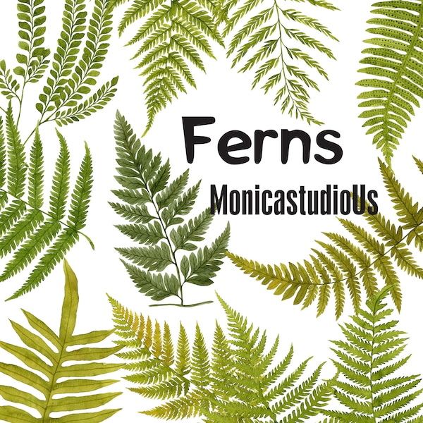 Ferns Clipart |Forest Greenery clipart - Greenery Leaf Branches and Stems - Wedding Invitation Clip Art - Instant Download PNGs-Green Ferns