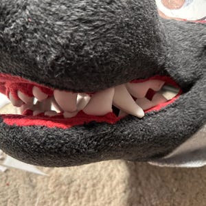May include: Close-up of a black and gray furry muzzle with a red mouth and white teeth. The teeth are made of plastic and are attached to the mouth.