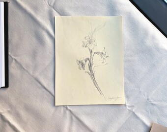 Vintage Florals Art on Paper. Hand-made Illustration in Graphite. Neutral Wall Art