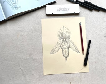 Botanical Poster. One Line Drawing Ink Illustration. Orchid Drawing. Original Art Work.