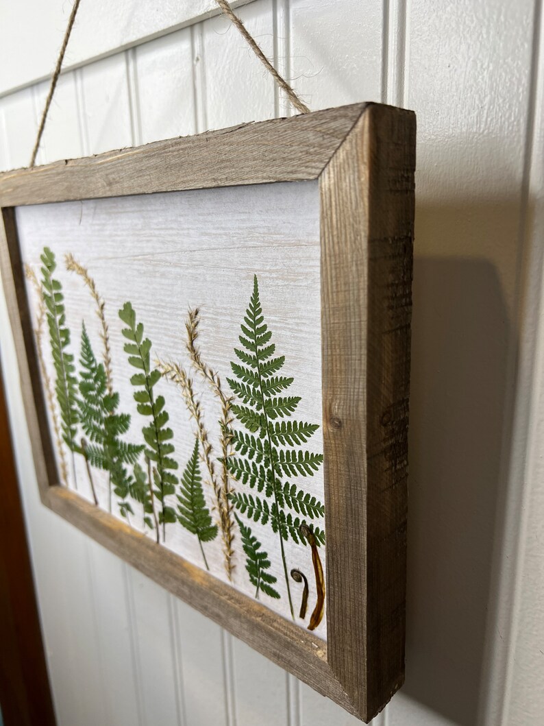 Pressed Flower Wall Hanging Wall Art for a Cabin Real Ferns Etsy