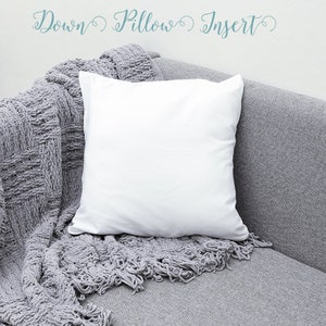 May include: A white down pillow insert on a gray couch with a gray throw blanket. The text "Down Pillow Insert" is written in blue cursive above the pillow.