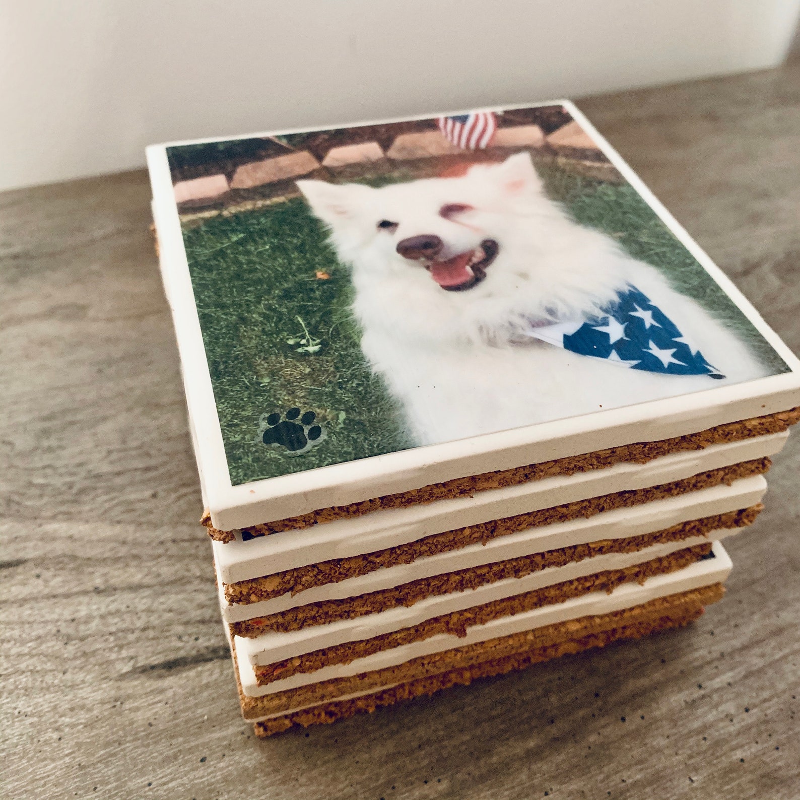 PERSONALIZED DOG Coastersphoto Coasters, Tile Coasters, Personalized