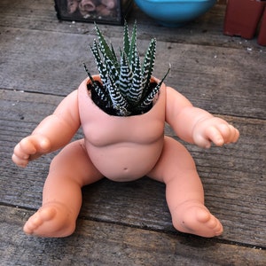 Creepy Cute Doll body planter with REAL Haworthia succulent