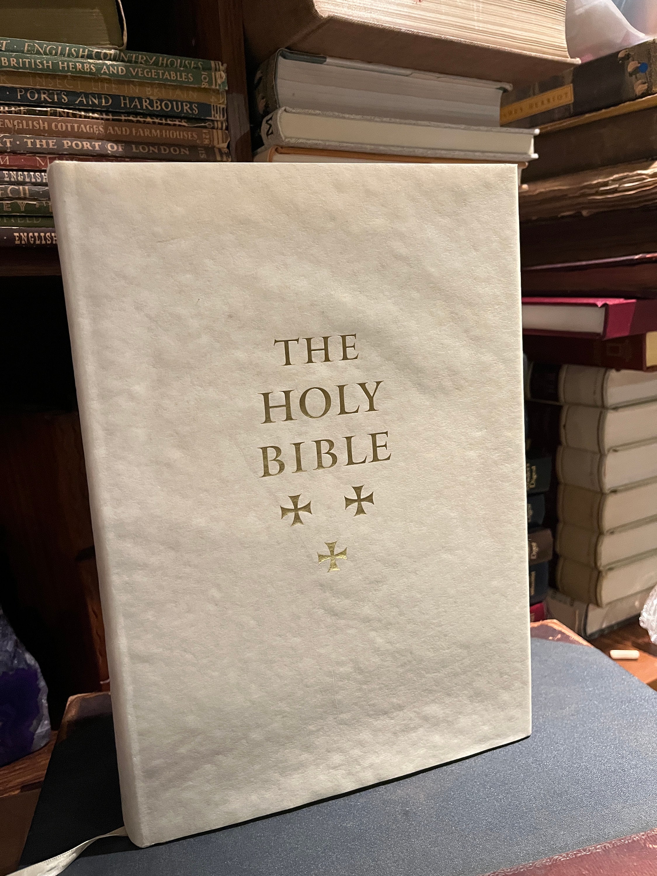 The Holy Bible, Fully Illustrated, Viking Studio, Pennyroyal Bible