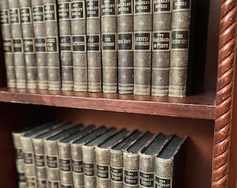 1878 Antique Waverley Novels Book Set: Walter Scott, Half Leather, 25 Volumes