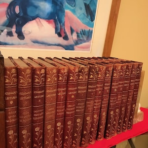 Livres anciens illustrés Reliure fine/Conférences de John L. Stoddard/Dos en cuir/Carton marbré/Entièrement illustré de photos