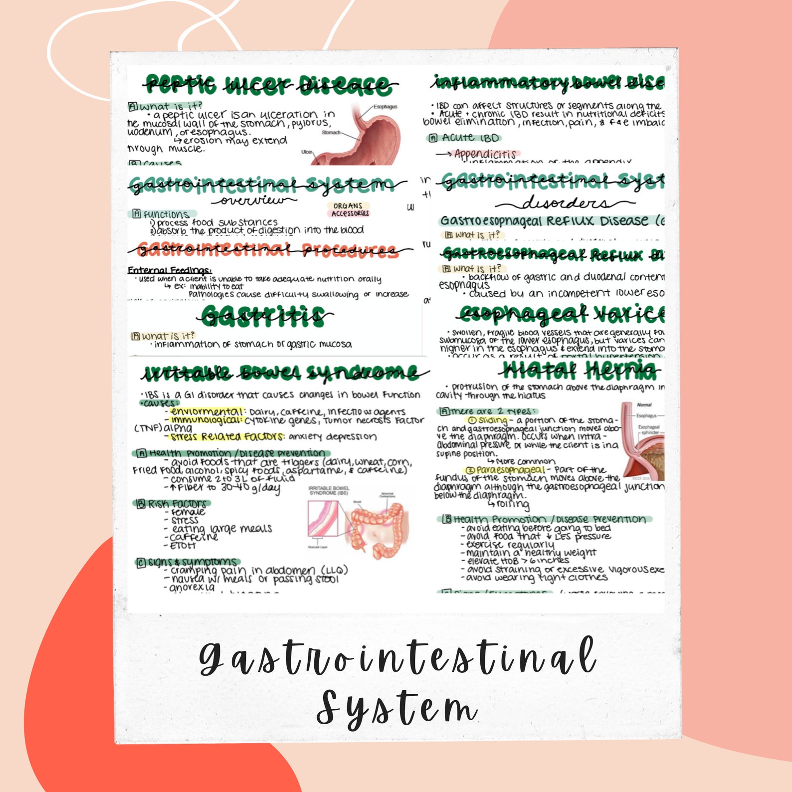 Gastrointestinal Nursing Notes Etsy