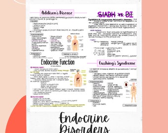 Endocrine Nursing Notes - Etsy