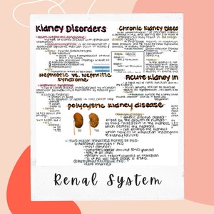 Pode incluir: Notas escritas à mão sobre um fundo branco com uma borda rosa. As notas são sobre distúrbios renais, incluindo síndrome nefrítica aguda, síndrome nefrótica, doença renal crônica, lesão renal aguda e doença renal policística. As notas incluem descrições das condições, suas causas, sintomas e tratamentos. Também há diagramas dos rins.