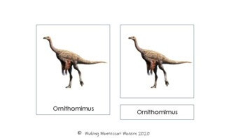 Dinosaur Montessori 3 Part Cards - Etsy