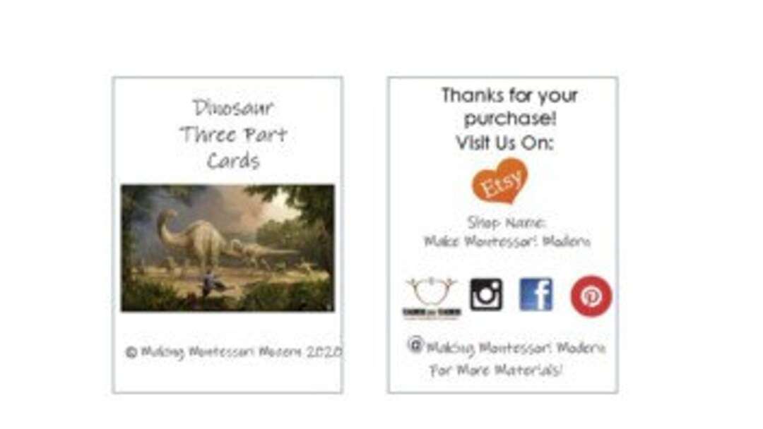 Dinosaur Montessori 3 Part Cards - Etsy