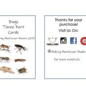 Tarjetas de 3 partes de Bugs
