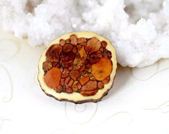 Broche vintage escocés de Heathergems: broche celta de asta de ciervo