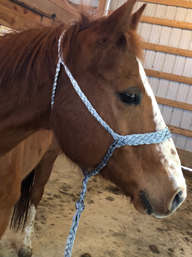 Custom order mule tape halters Etsy