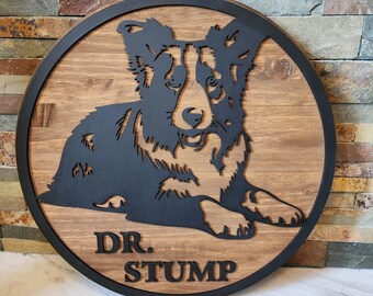 Border Collie Veterinarian Sign: Custom Vet Office Decor