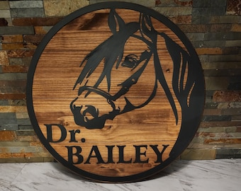 Personalized Veterinarian Office Sign, Horse Portrait, Custom DVM Gift