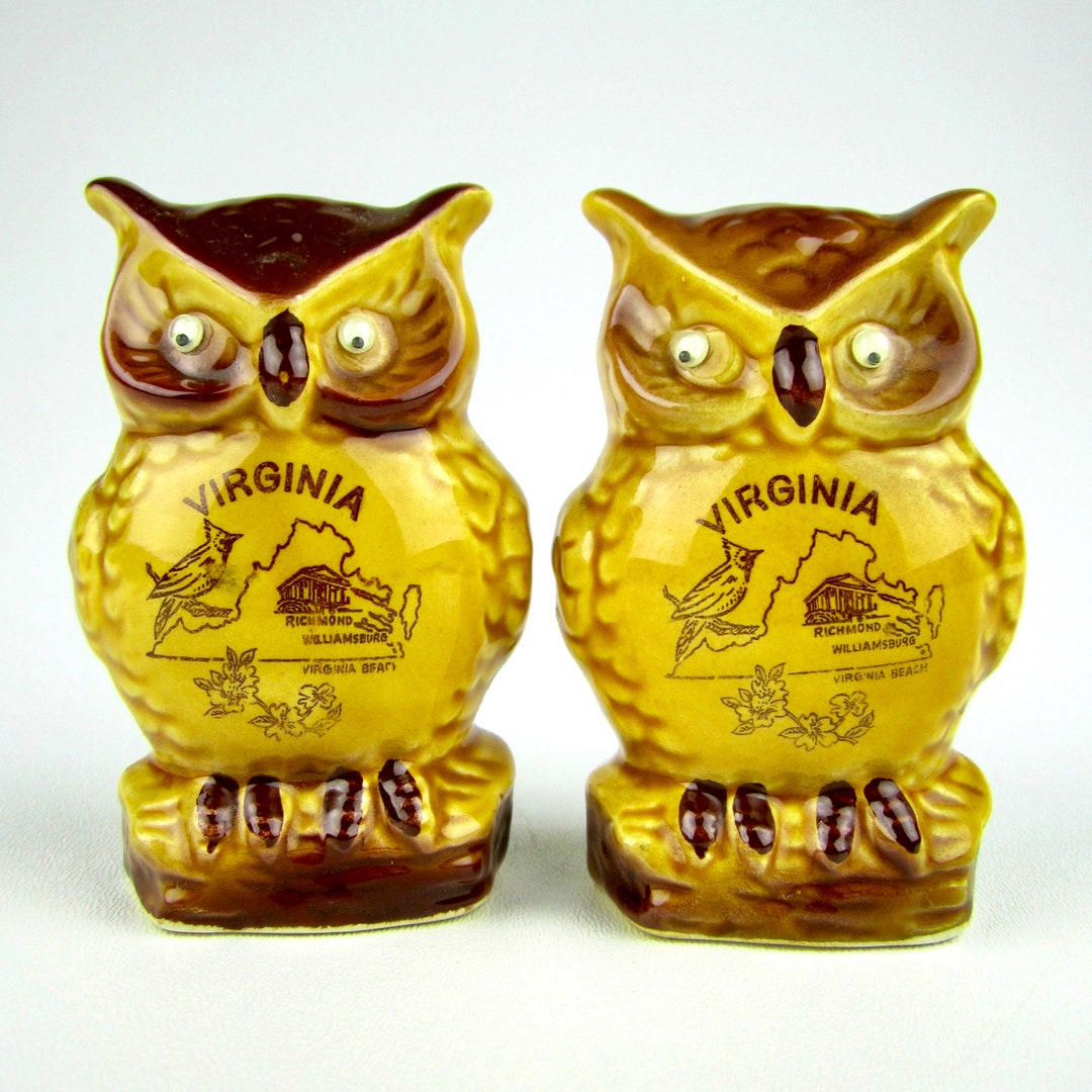 Vintage OWL Salt and Pepper Shakers Virginia State Googly Etsy