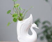 White Swan Plant Pot, Swan Planter, Rhinoceros Gifts, Ceramic Planter, Animal Planter, Succulent Planter No Plant