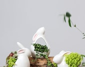 Cute Rabbit Plant Pot, Rabbit Planter, Rhinoceros Gifts, Ceramic Planter, Animal Planter, Succulent Planter No Plant
