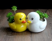 Little Cute Yellow Duck Plant Pot, Animalk Planter, Kawaii Gifts, Ceramic Planter, Creativity Planter, Succulent Planter No Plant