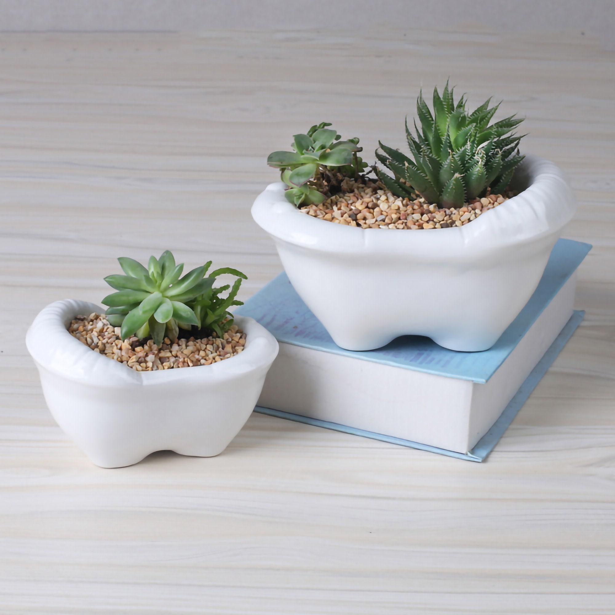 Cute Little Bathtub Plant Pot Bathtub Planter Creativity Etsy
