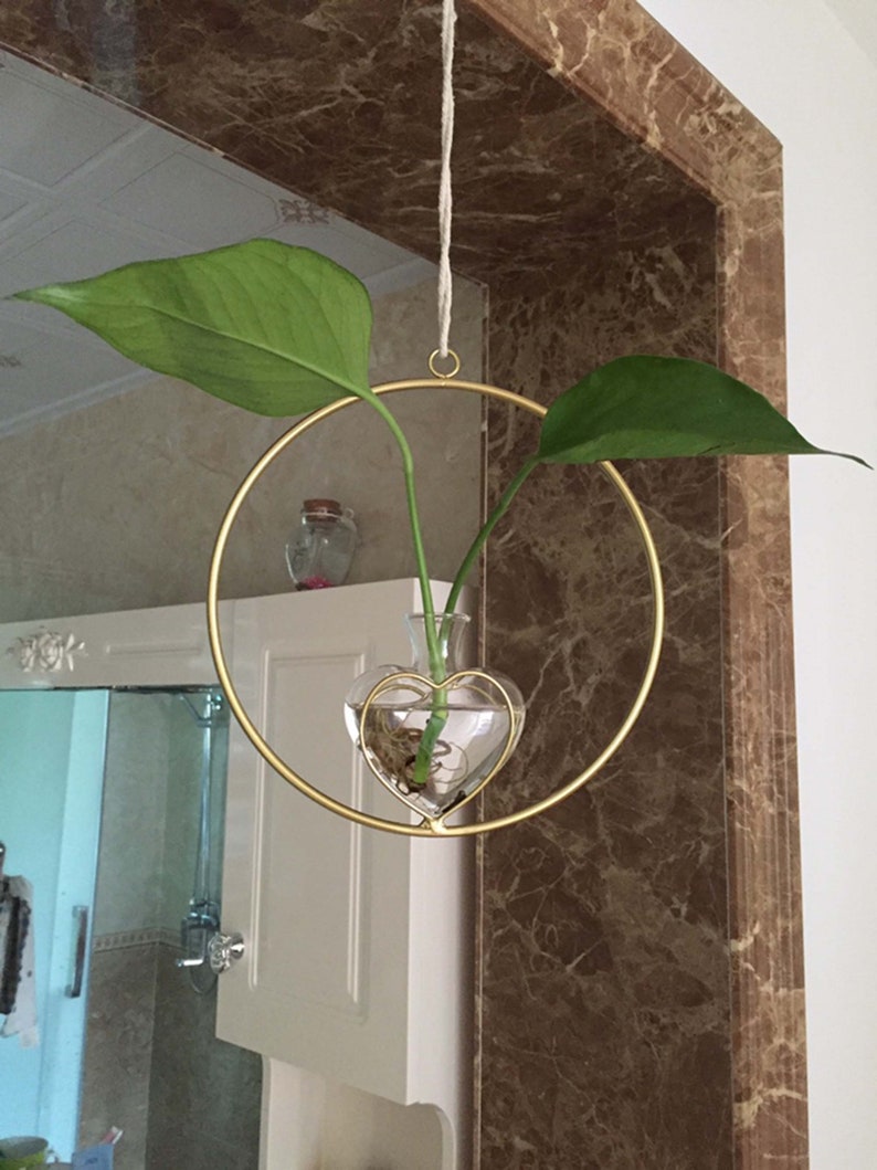 Wall Planter Hanging Succulent Pot Golden Glass Planters Round Etsy