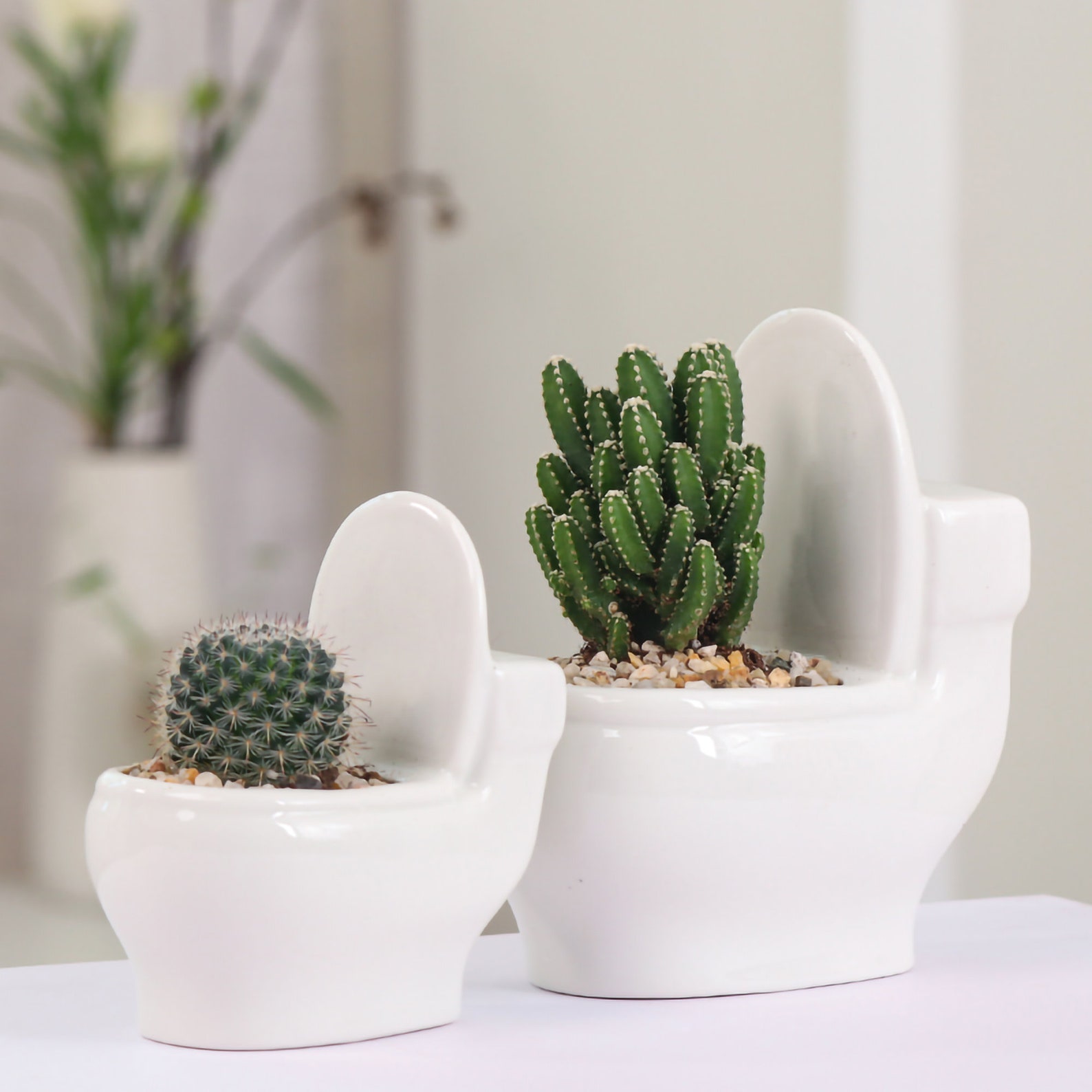 Cute Little Toilet Plant Pot Toilet Planter Creativity Etsy