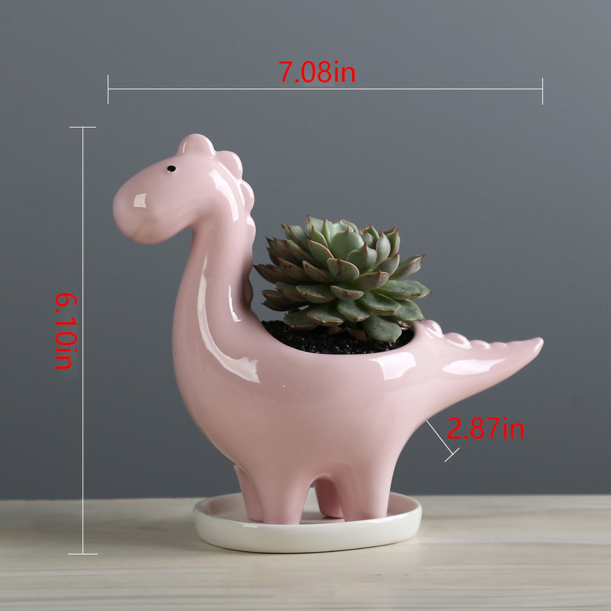 Cute Dinosaur Plant Pot Pink Dinosaur Planter Kawaii Ceramic Etsy