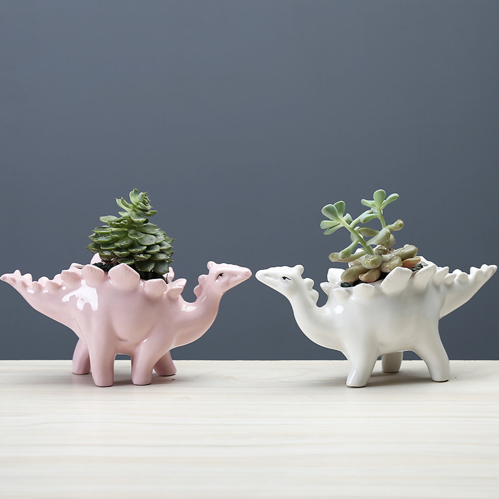 Dinosaur Plant Pot Dinosaur Planter Dinosaur Gifts Ceramic Etsy