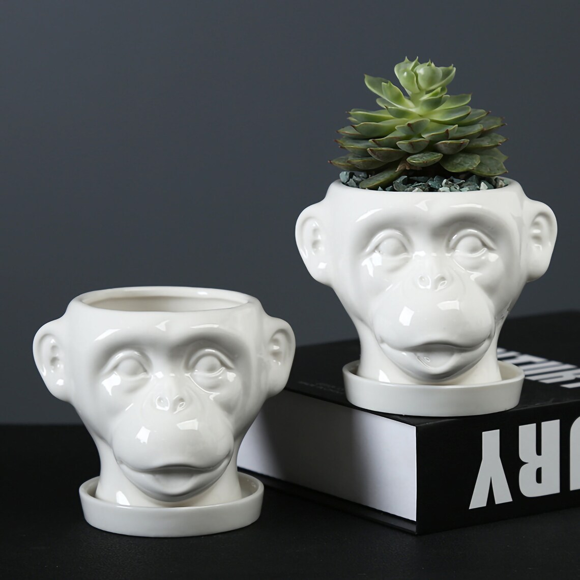 Monkey Planter Monkey Plant Pot Cute Monkey Gifts Ceramic Etsy