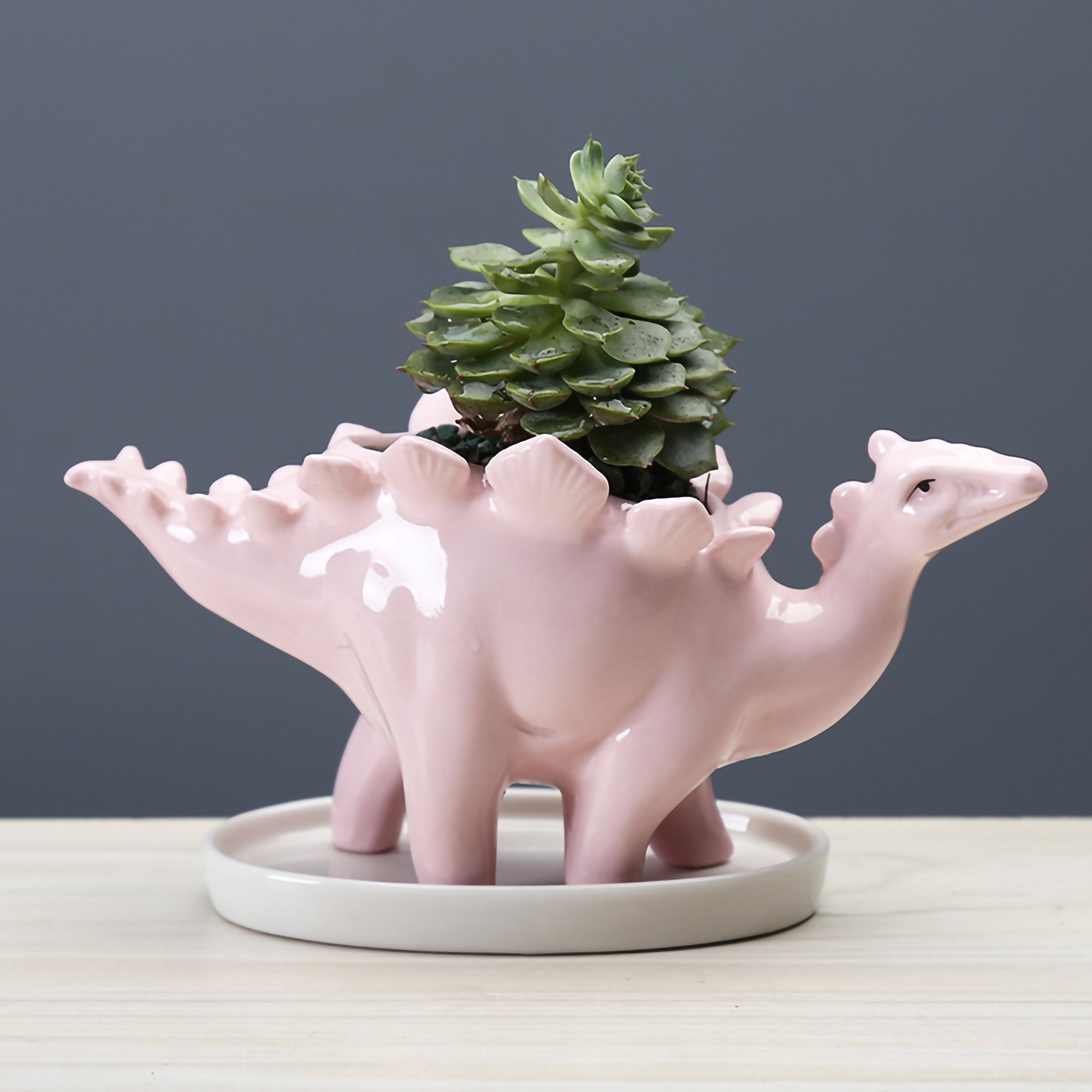 Dinosaur Plant Pot Dinosaur Planter Dinosaur Gifts Ceramic Etsy