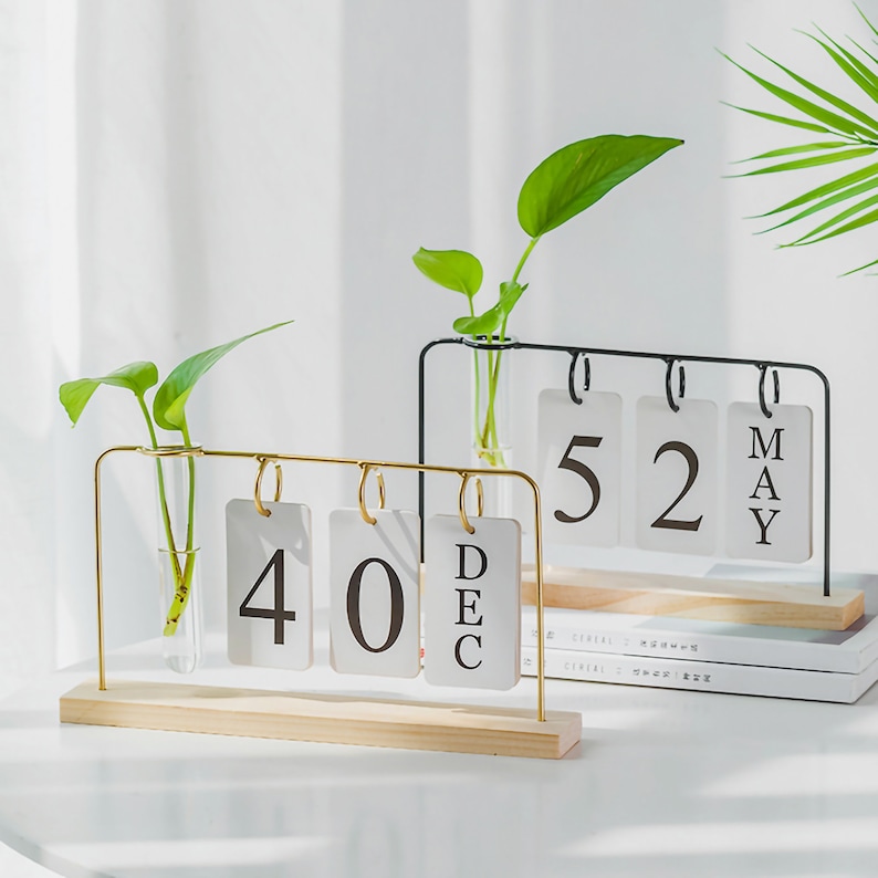 Calendario Desktop Plantatore Succulente Pot Dorato Planters image 0