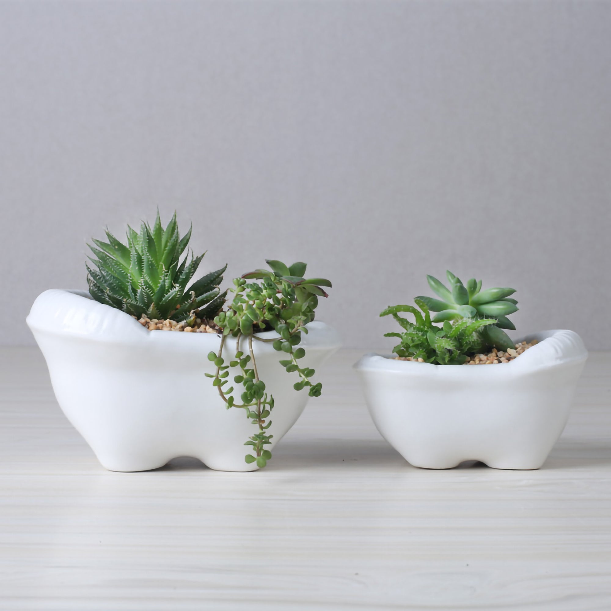 Cute Little Bathtub Plant Pot Bathtub Planter Creativity Etsy