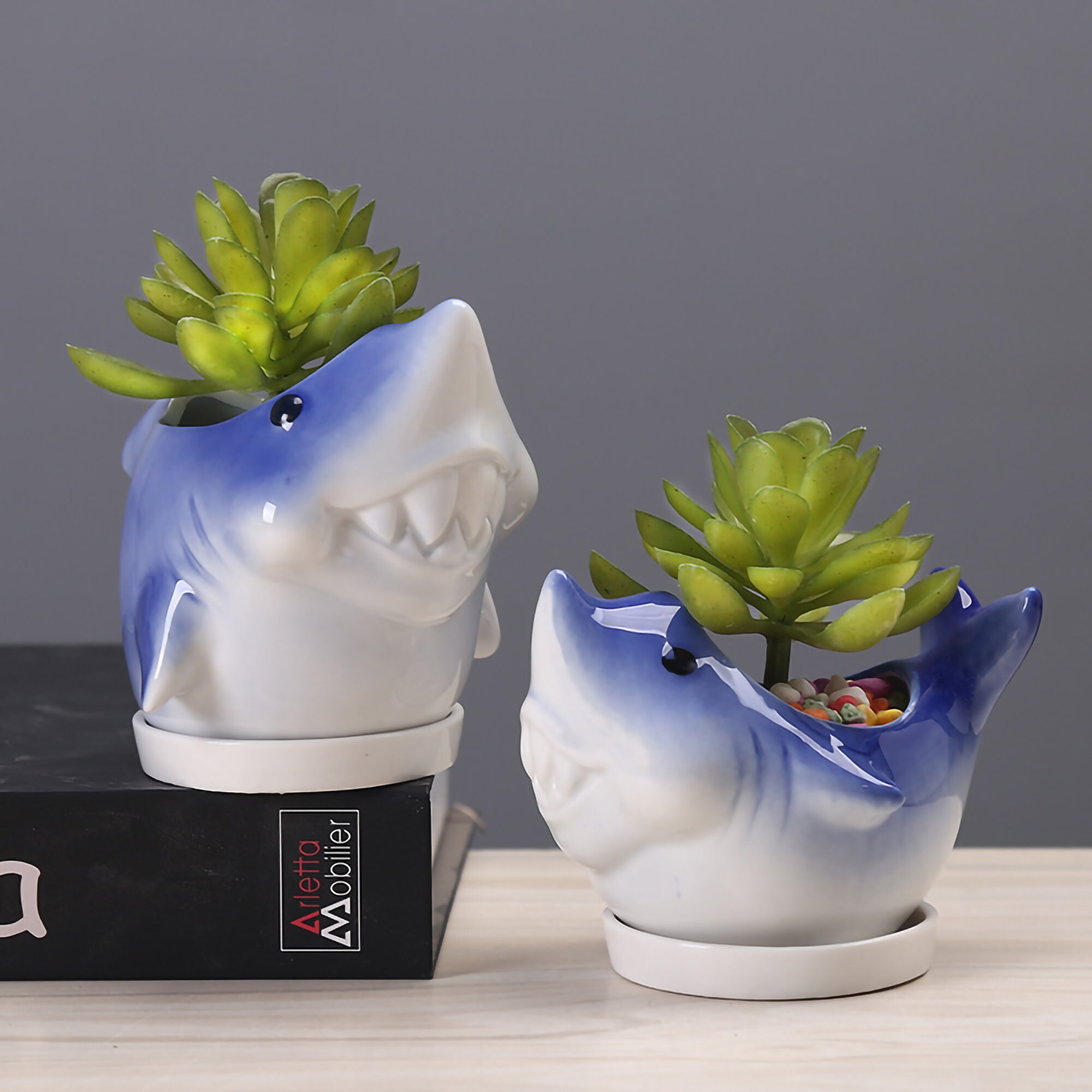 Cute Shark Plant Pot Shark Planter Kawaii Ceramic Planter Etsy