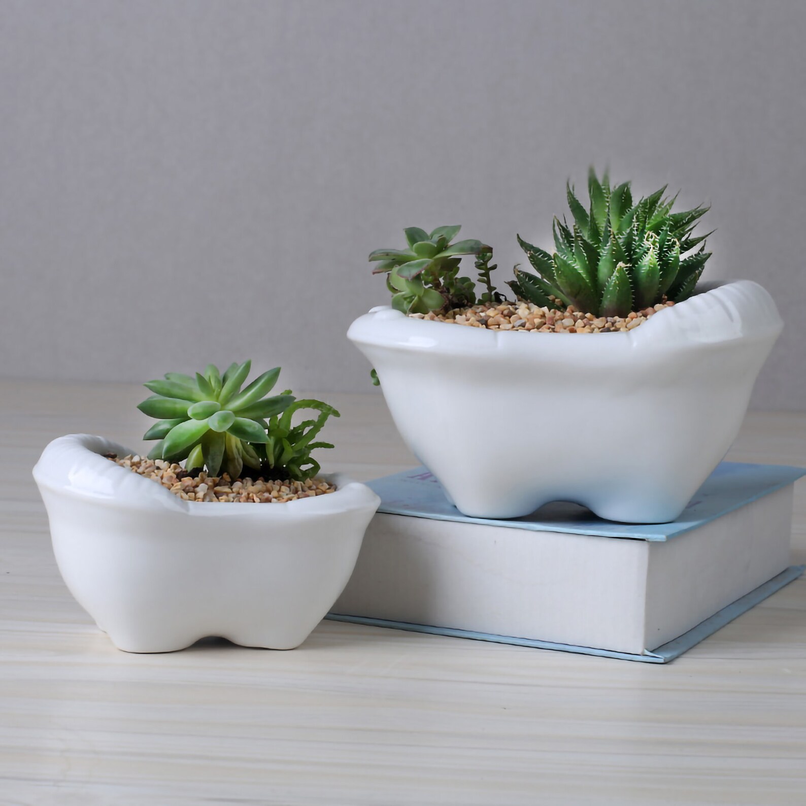 Cute Little Bathtub Plant Pot Bathtub Planter Creativity Etsy