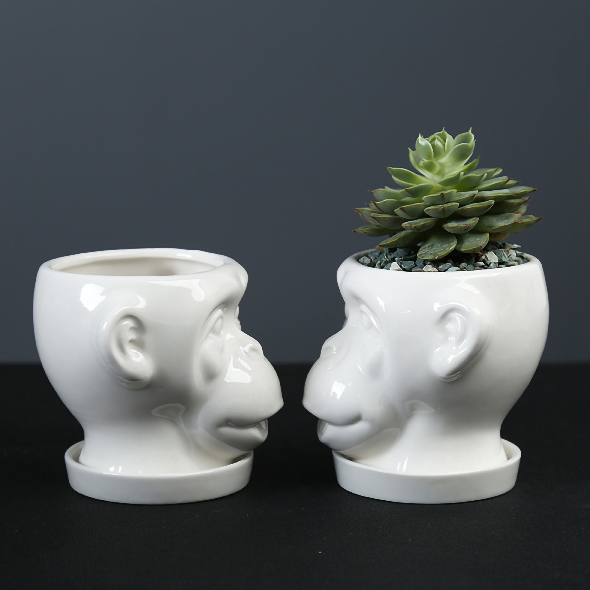 Monkey Planter Monkey Plant Pot Cute Monkey Gifts Ceramic Etsy