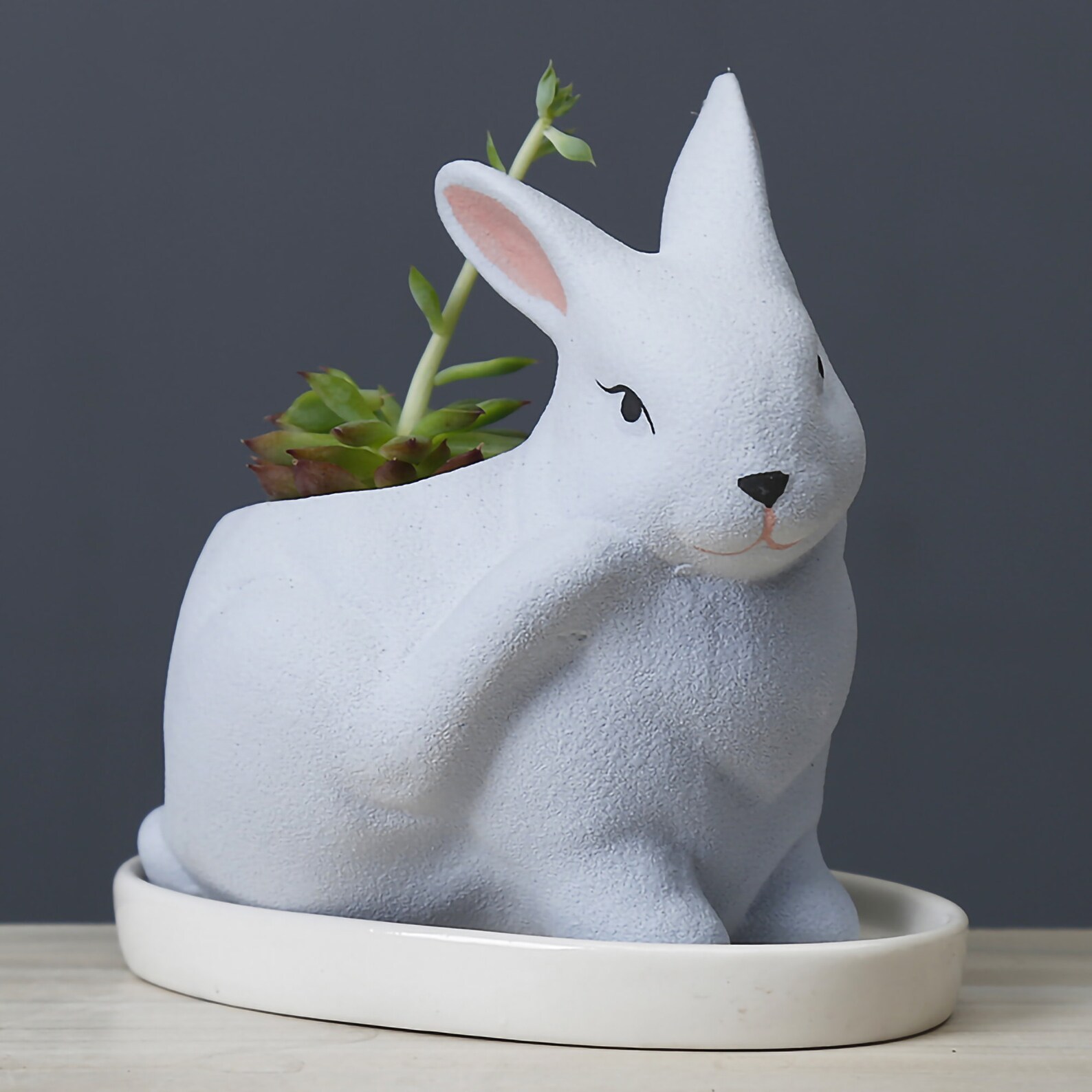 Rabbit Plant Pot Bunny Planter Hare Gifts Ceramic Planter Etsy
