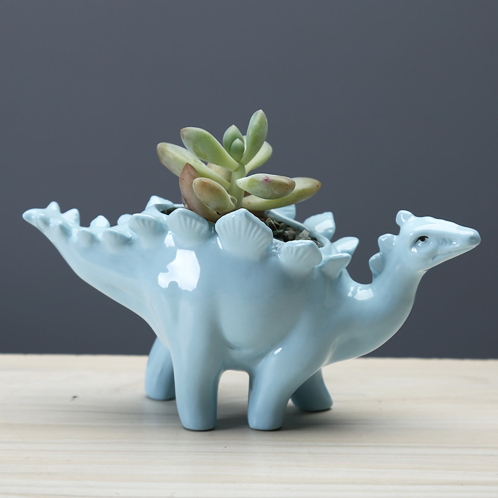 Dinosaur Plant Pot Dinosaur Planter Dinosaur Gifts Ceramic Etsy