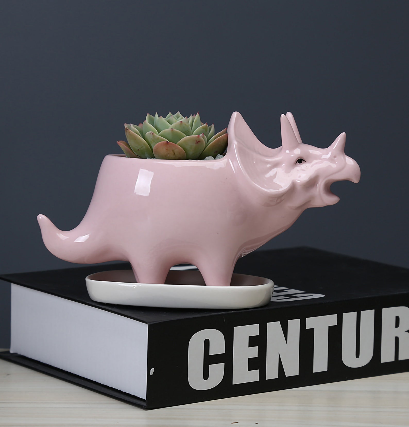 Dinosaur Plant Pot Triceratops Planter Triceratops Regalos Etsy