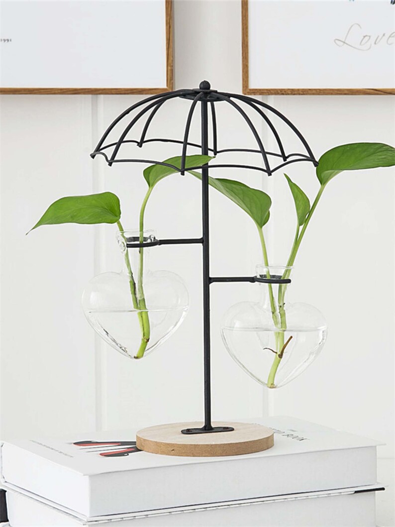 Succulent Pot Hydroponic Vase Decoration Glass Planters Round Etsy