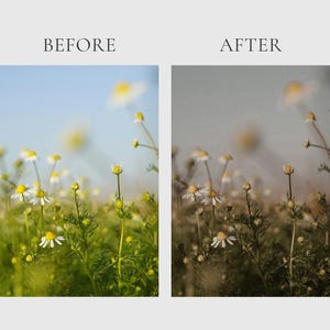 HERBAL APOTHECARY Lightroom Presets, 10 Mobile & Desktop Presets, Dark Cottagecore, Witchy Aesthetic, Natural Moody Witchcore Photo Filter image 7