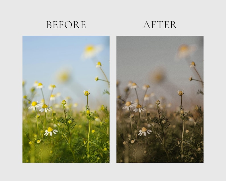 HERBAL APOTHECARY Lightroom Presets, 10 Mobile & Desktop Presets, Dark Cottagecore, Witchy Aesthetic, Natural Moody Witchcore Photo Filter image 7