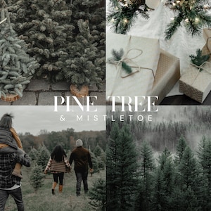 PINE TREE and MISTLETOE Lightroom Presets, 10 Mobile & Desktop Presets, Christmas, Winter, Moody Natural Green, Holiday, Outdoor, Forest